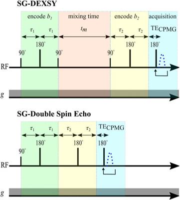 Disentangling the Effects of Restriction and Exchange With Diffusion Exchange Spectroscopy